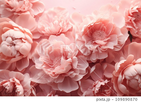pink peonies on a pink background 109890870