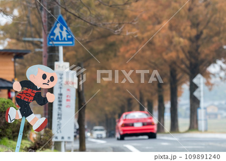 【メタセコイア並木】飛び出し坊やと赤い車 109891240