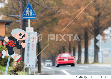 【メタセコイア並木】飛び出し坊やと赤い車 【メタセコイア並木】飛び出し坊やと赤い車 109891242
