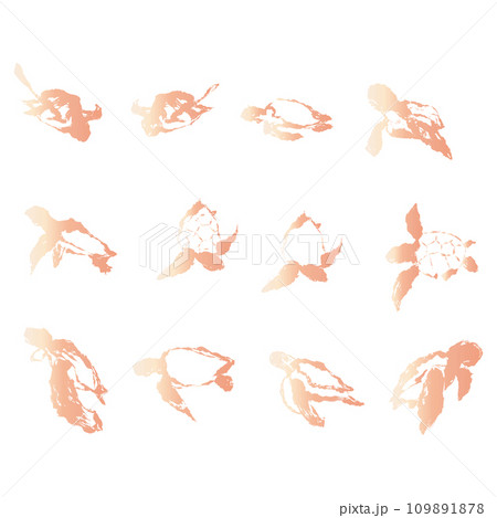 ピンクとオレンジの亀のイラスト素材のセット　ベクター 109891878