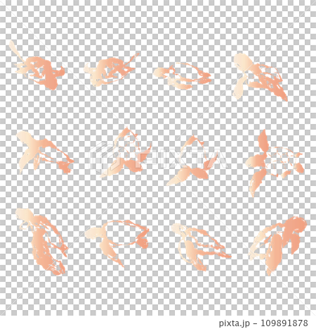 ピンクとオレンジの亀のイラスト素材のセット　ベクター 109891878