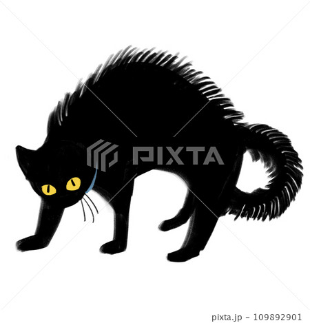 やんのかステップ　黒猫 109892901
