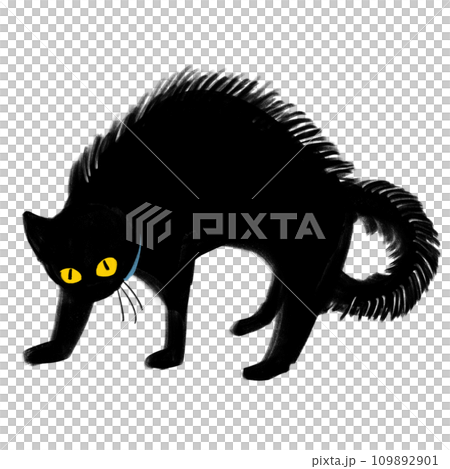 やんのかステップ　黒猫 109892901