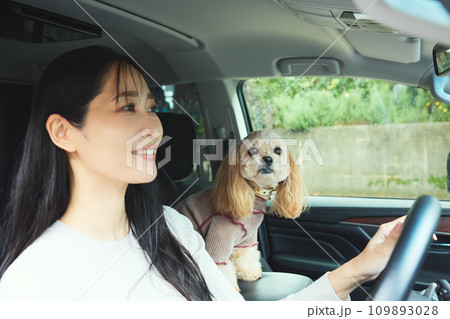 愛犬とドライブをする女性 109893028