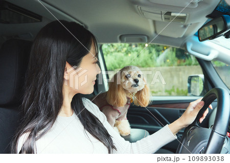 愛犬とドライブをする女性 109893038