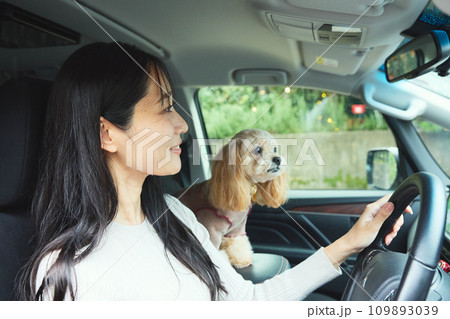 愛犬とドライブをする女性 109893039