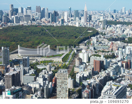 東京 渋谷から神南・原宿方面の眺望(2023年10月) 東京 渋谷から神南・原宿方面の眺望(2023年10月) 109893270