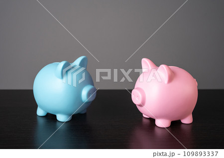 Two figurines piggy banks in blue and pink colors. Concept of budgets for love partners or family. Minimalism and abstraction. Starting a life together and a shared budget. Finances in relationships Two figurines piggy banks in blue and pink colors. Concept of budgets for love partners or family. Minimalism and abstraction. Starting a life together and a shared budget. Finances in relationships 109893337