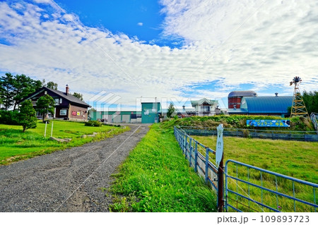 丘のさんぽ道 ジェラート工房「丘のミルジェ」の景観 (北海道美瑛町) 丘のさんぽ道 ジェラート工房「丘のミルジェ」の景観 (北海道美瑛町) 109893723