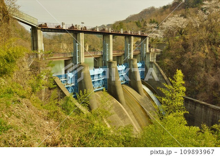 平出ダムの堤体 平出ダムの堤体 109893967
