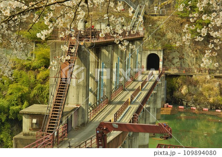 平出ダムの堤体と桜 平出ダムの堤体と桜 109894080