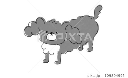 じっ…と見つめて来る犬 109894995