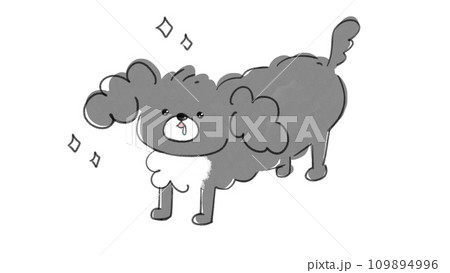 目を輝かせながら　じっ…と見つめて来る犬 109894996