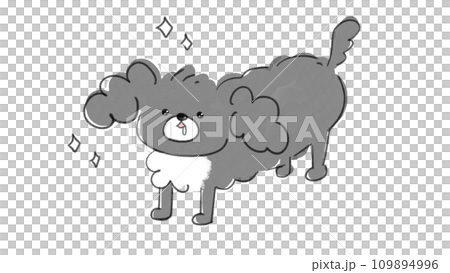 目を輝かせながら　じっ…と見つめて来る犬 109894996