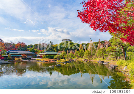 秋の白鳥庭園〈愛知県名古屋市〉 109895104
