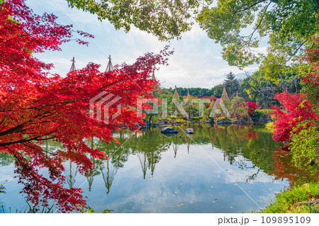 秋の白鳥庭園〈愛知県名古屋市〉 109895109