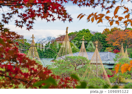 秋の白鳥庭園〈愛知県名古屋市〉 109895122