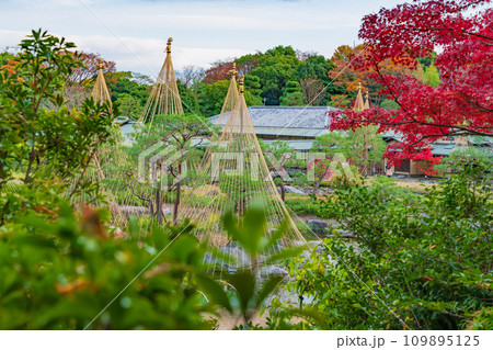 秋の白鳥庭園〈愛知県名古屋市〉 秋の白鳥庭園〈愛知県名古屋市〉 109895125