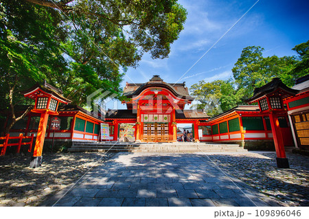 神秘的な神社と赤い鳥居と森 109896046