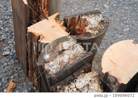 腐敗したログ材 109896072