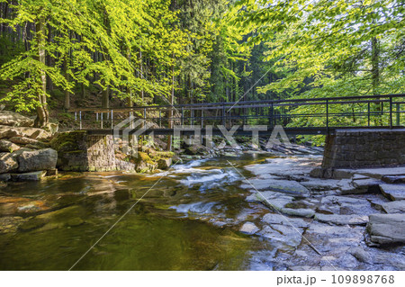 Waterfall Mumlava near Harachov, Giant Mountains (Krkonose), Eastern Bohemia, Czech Republic 109898768