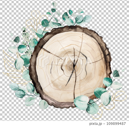 Watercolor wooden round slices with green eucalyptus leaves bouquet. Isolated illustration 109899487