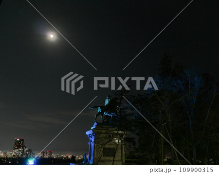 仙台城跡(本丸跡)の夜景【宮城県仙台市】 仙台城跡(本丸跡)の夜景【宮城県仙台市】 109900315