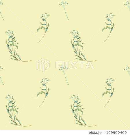 Watercolor seamless pattern of bouquet meadow leaves grass and yellow tansy, flowers, branches and wild dry grass. Nature landscape grass field in nature, meadow in springtime. Botany green tones Watercolor seamless pattern of bouquet meadow leaves grass and yellow tansy, flowers, branches and wild dry grass. Nature landscape grass field in nature, meadow in springtime. Botany green tones 109900400