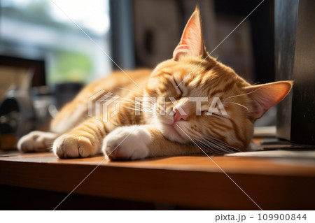 Red tabby cat sleepy on table, sweet dream Red tabby cat sleepy on table, sweet dream 109900844