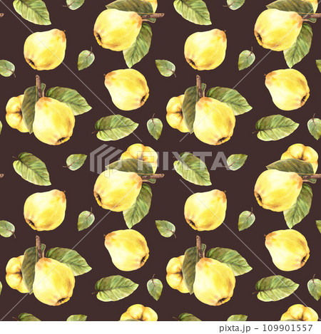 Watercolor hand painted seamless pattern. Yellow ripe juicy quince whole fruits with branch and leaves. Illustration. Repeating clipart for wrapping paper, wallpaper, cover. Isolated dark background. 109901557