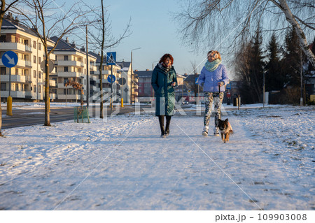 Two friends are walking through a residential area on a winter day. 109903008