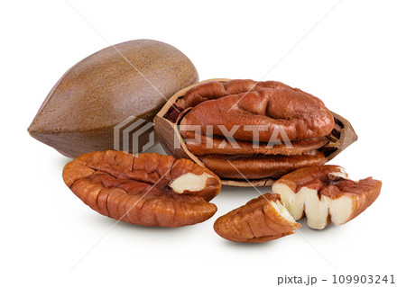 broken pecan nut isolated on white background with full depth of field 109903241