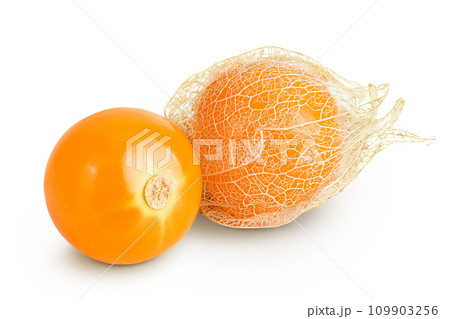 Cape gooseberry or physalis isolated on white background wit full depth of field Cape gooseberry or physalis isolated on white background wit full depth of field 109903256