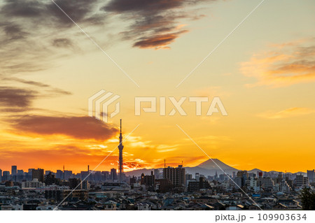 「東京都」美しい都会の夕空と東京スカイツリー 109903634