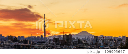 「東京都」美しい都会の夕空と東京スカイツリー 「東京都」美しい都会の夕空と東京スカイツリー 109903647