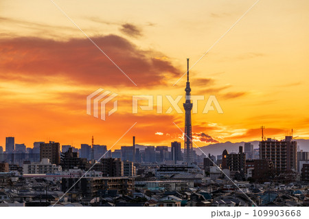 「東京都」美しい都会の夕空と東京スカイツリー 109903668