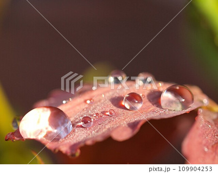 水滴のイメージ 109904253