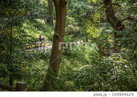 有栖川宮記念公園 東京都港区南麻布 有栖川宮記念公園 東京都港区南麻布 109904829