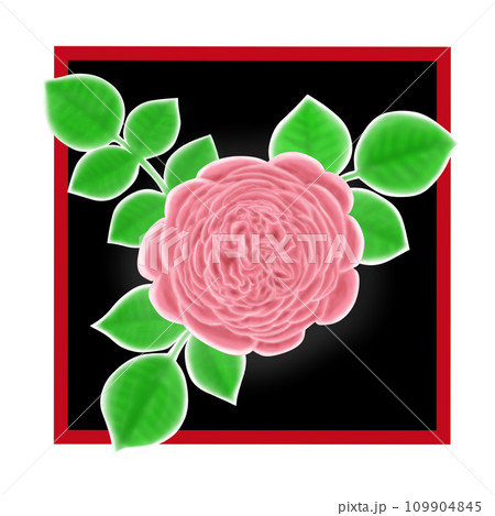 花弁が多く美しいピンクのバラの花と葉のイラスト 花弁が多く美しいピンクのバラの花と葉のイラスト 109904845