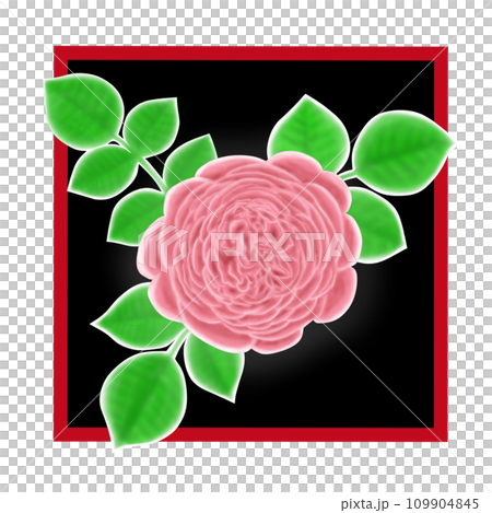 花弁が多く美しいピンクのバラの花と葉のイラスト 花弁が多く美しいピンクのバラの花と葉のイラスト 109904845
