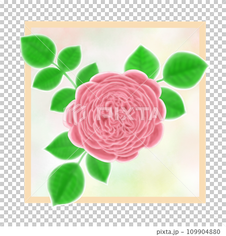 一朵美麗的粉紅色玫瑰花和許多花瓣的葉子的插圖 109904880