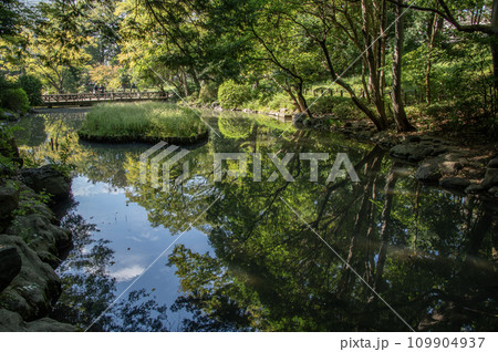 有栖川宮記念公園　東京都港区南麻布 109904937