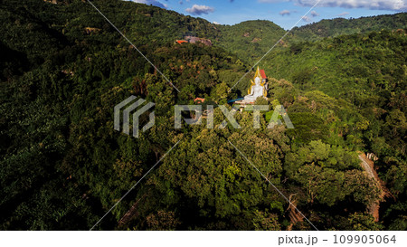 High angle view Aerial photograph of Buddha statue in the forest 109905064