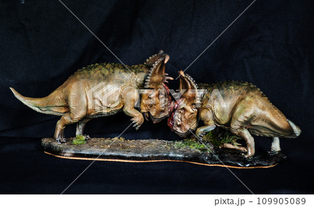 Pachyrhinosaurus dinosaur in the dark 109905089