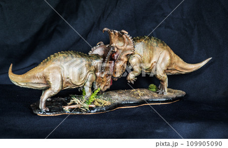 Pachyrhinosaurus dinosaur in the dark 109905090