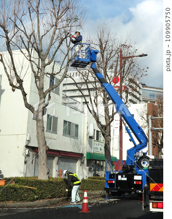 街路樹剪定作業　高所作業車 109905750