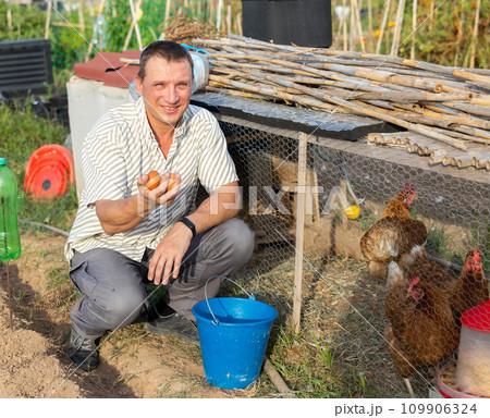 Farmer collecting fresh eggs from outdoor chicken coop Farmer collecting fresh eggs from outdoor chicken coop 109906324