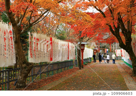 大寧寺の紅葉 109906603