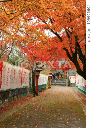 大寧寺の紅葉 109906604