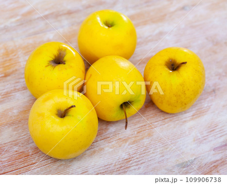 Large whole yellow golden delicious apples on table 109906738